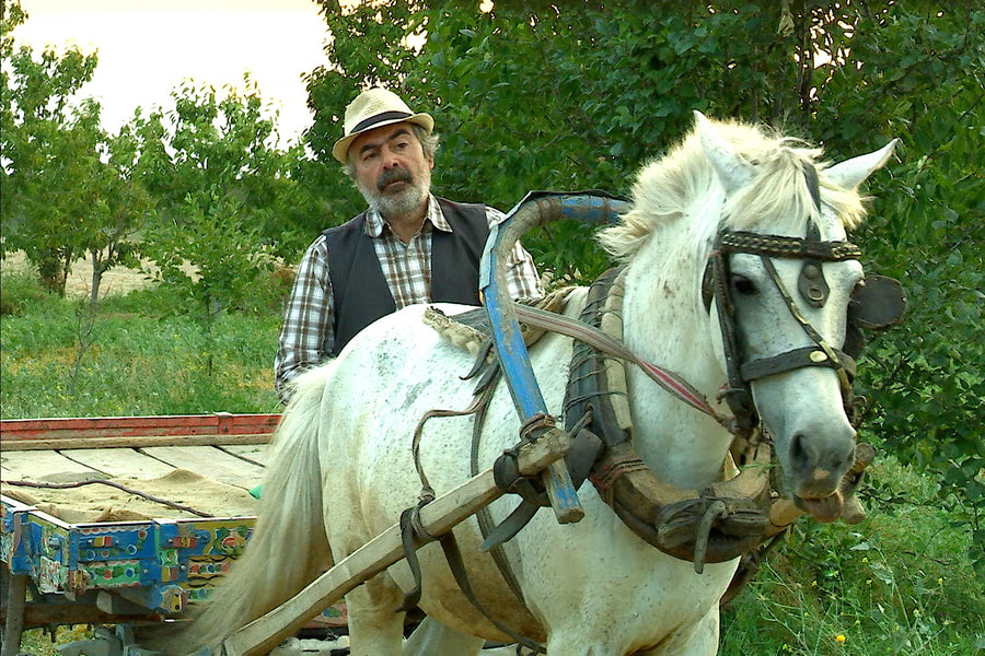 Amentü filminden bir kare