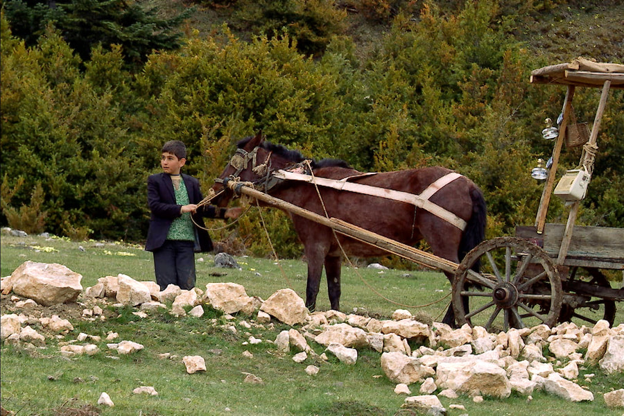 Çerçi filminden bir kare