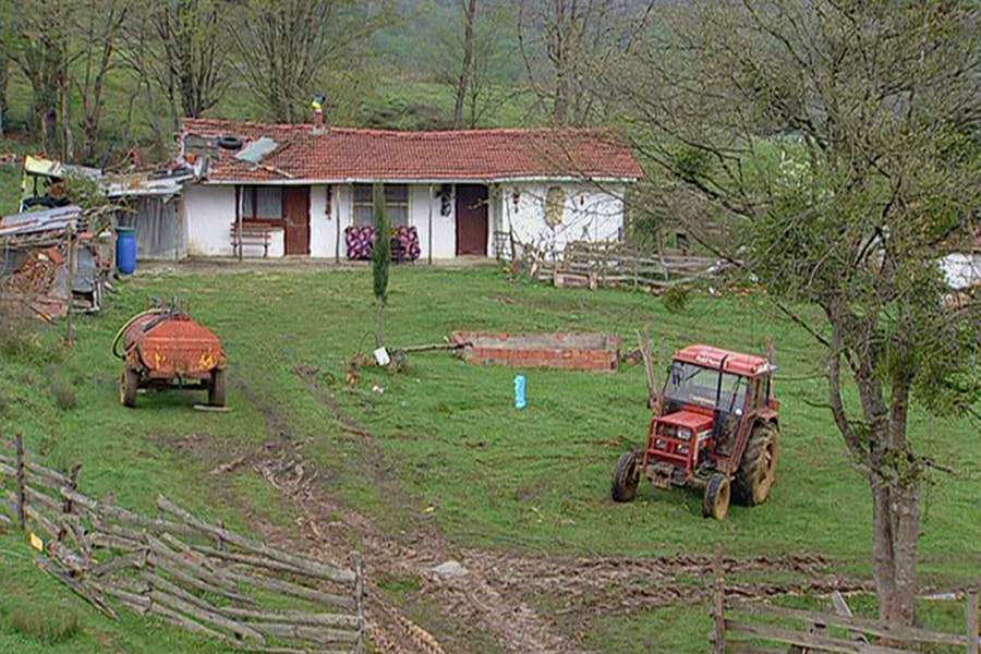 Susuzluk filminden bir kare